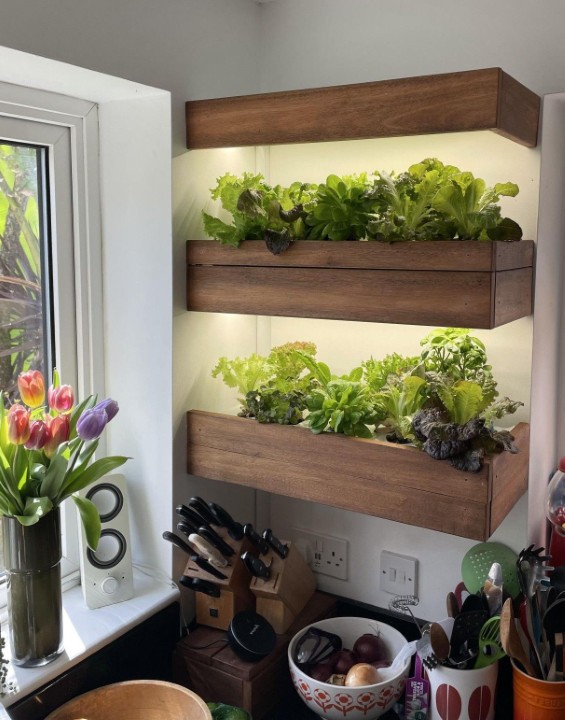 10 Kitchen Garden Ideas to Maximize Your Small Space