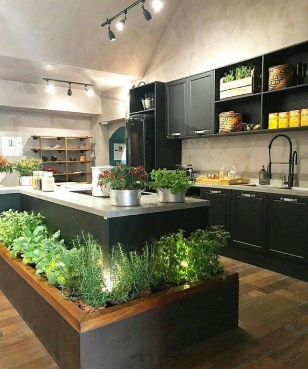 The Ultimate Guide to Starting a Kitchen Garden (For Beginners)