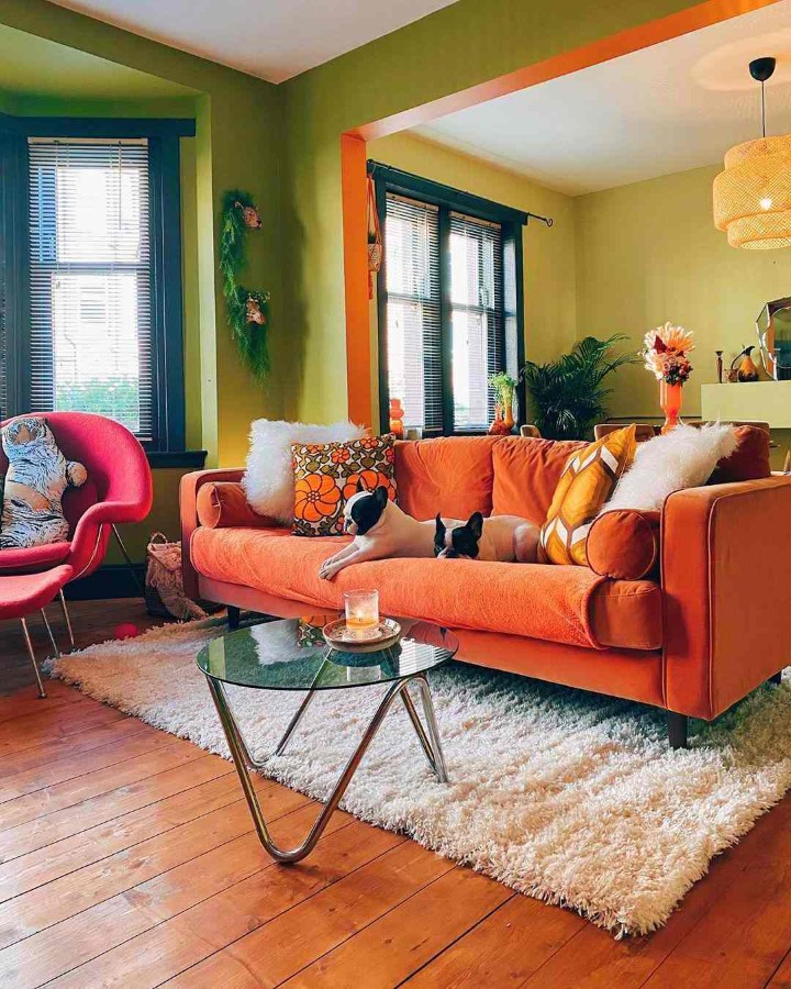Top 12 Colors That Match With Orange and How to Use Them Correctly